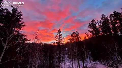 Tiny photo for 83 Pika Creek Trail, Florissant, CO 80816 (MLS # 6403137)