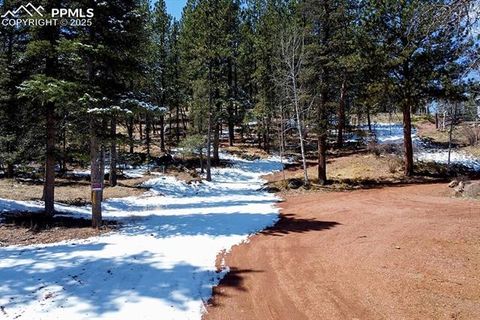 Tiny photo for 83 Pika Creek Trail, Florissant, CO 80816 (MLS # 6403137)