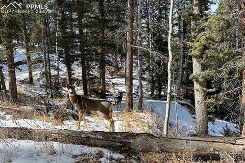 Tiny photo for 83 Pika Creek Trail, Florissant, CO 80816 (MLS # 6403137)