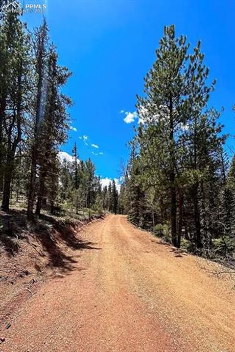 Tiny photo for 83 Pika Creek Trail, Florissant, CO 80816 (MLS # 6403137)