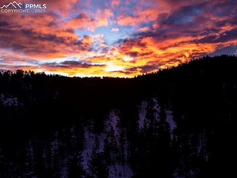 Tiny photo for 83 Pika Creek Trail, Florissant, CO 80816 (MLS # 6403137)