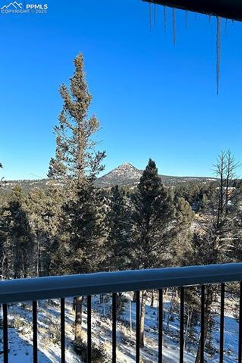 Tiny photo for 83 Pika Creek Trail, Florissant, CO 80816 (MLS # 6403137)