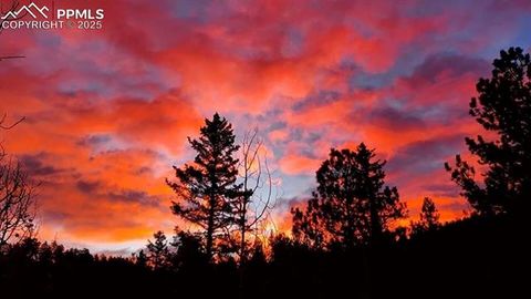 Tiny photo for 83 Pika Creek Trail, Florissant, CO 80816 (MLS # 6403137)