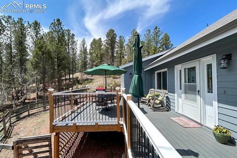 Tiny photo for 83 Pika Creek Trail, Florissant, CO 80816 (MLS # 6403137)