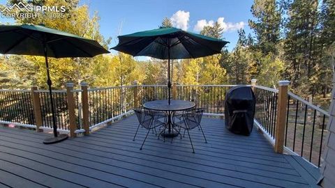 Tiny photo for 83 Pika Creek Trail, Florissant, CO 80816 (MLS # 6403137)