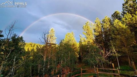 Tiny photo for 83 Pika Creek Trail, Florissant, CO 80816 (MLS # 6403137)