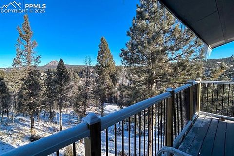 Tiny photo for 83 Pika Creek Trail, Florissant, CO 80816 (MLS # 6403137)