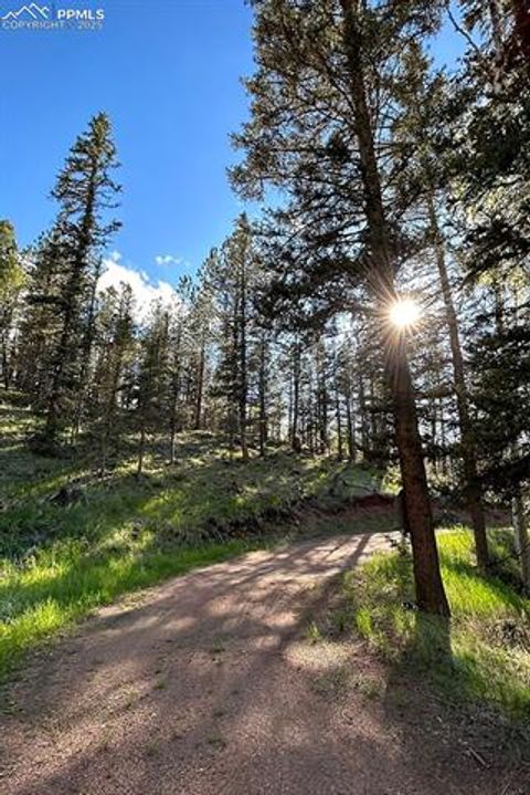 Tiny photo for 83 Pika Creek Trail, Florissant, CO 80816 (MLS # 6403137)