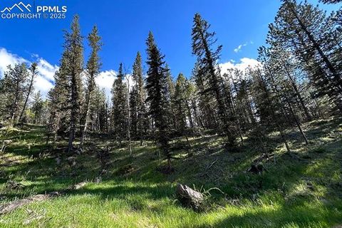 Tiny photo for 83 Pika Creek Trail, Florissant, CO 80816 (MLS # 6403137)