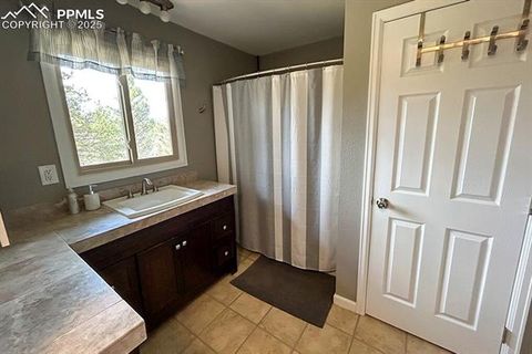 Tiny photo for 83 Pika Creek Trail, Florissant, CO 80816 (MLS # 6403137)
