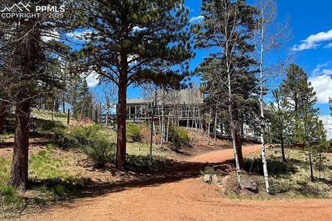 Tiny photo for 83 Pika Creek Trail, Florissant, CO 80816 (MLS # 6403137)