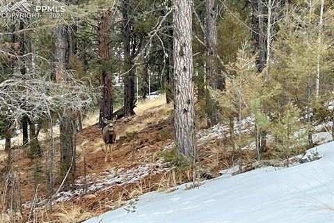 Tiny photo for 83 Pika Creek Trail, Florissant, CO 80816 (MLS # 6403137)