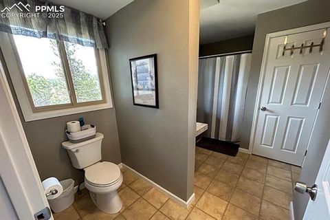 Tiny photo for 83 Pika Creek Trail, Florissant, CO 80816 (MLS # 6403137)