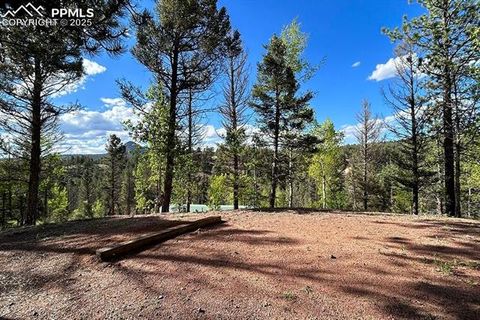 Tiny photo for 83 Pika Creek Trail, Florissant, CO 80816 (MLS # 6403137)