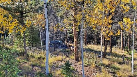 Tiny photo for 83 Pika Creek Trail, Florissant, CO 80816 (MLS # 6403137)