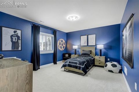 Tiny photo for 12544 Bosa Court, Colorado Springs, CO 80921 (MLS # 5502377)