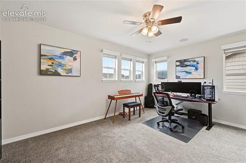 Tiny photo for 135 Mayflower Street, Colorado Springs, CO 80905 (MLS # 8041827)