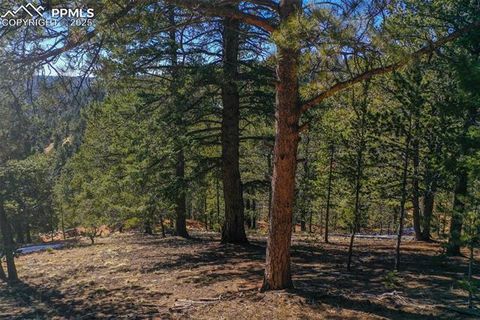 Photo of 507 HORSESHOE Drive, Divide, CO 80814 (MLS # 6367695)