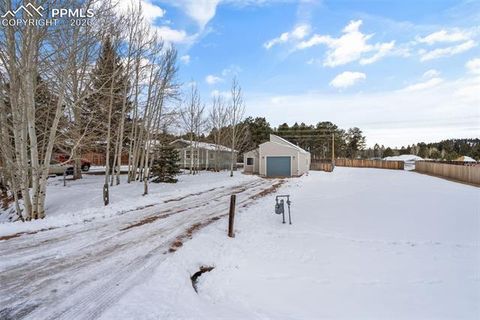 Tiny photo for 1060 Sundance Street, Woodland Park, CO 80863 (MLS # 5727045)