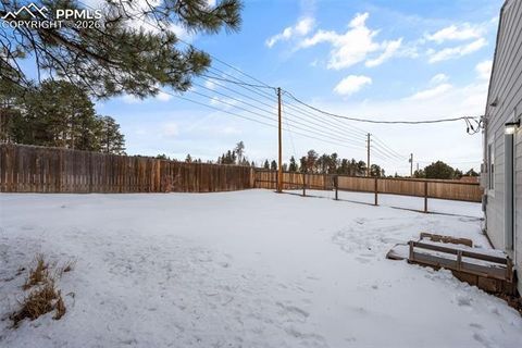 Tiny photo for 1060 Sundance Street, Woodland Park, CO 80863 (MLS # 5727045)