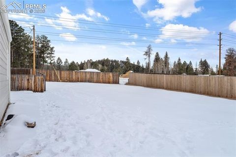 Tiny photo for 1060 Sundance Street, Woodland Park, CO 80863 (MLS # 5727045)