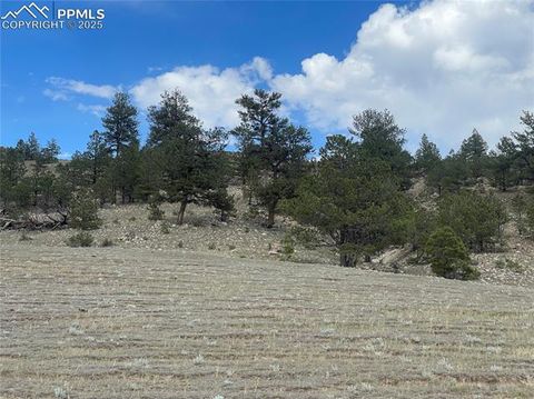 Photo of 00 Lakeview Drive, Hartsel, CO 80449 (MLS # 5699806)