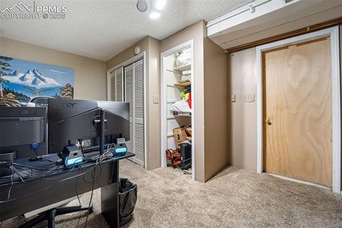 Tiny photo for 554 Manor Court #C, Woodland Park, CO 80863 (MLS # 3417661)
