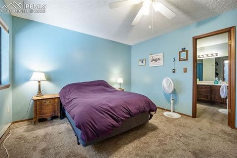 Tiny photo for 554 Manor Court #C, Woodland Park, CO 80863 (MLS # 3417661)