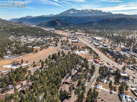 Tiny photo for 554 Manor Court #C, Woodland Park, CO 80863 (MLS # 3417661)