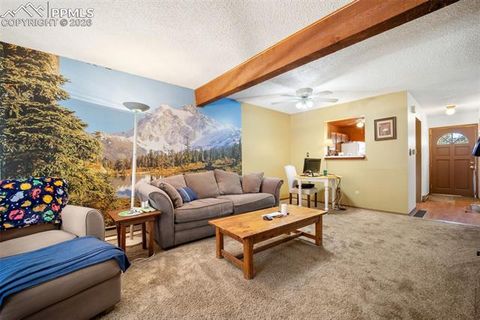 Tiny photo for 554 Manor Court #C, Woodland Park, CO 80863 (MLS # 3417661)