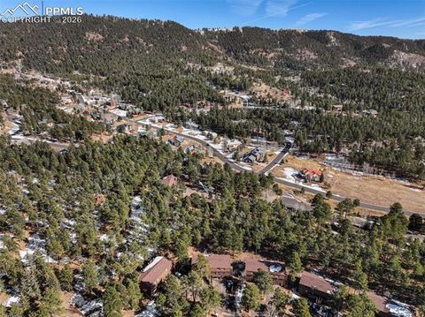 Tiny photo for 554 Manor Court #C, Woodland Park, CO 80863 (MLS # 3417661)