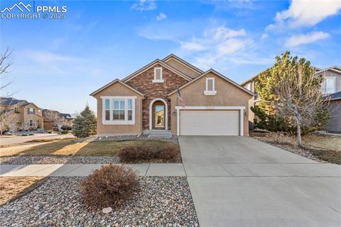 9906 San Luis Park Court Colorado Springs CO 80924