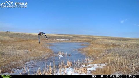 Tiny photo for 18320 Falcon Highway, Peyton, CO 80831 (MLS # 2134799)