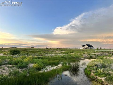 Tiny photo for 18320 Falcon Highway, Peyton, CO 80831 (MLS # 2134799)