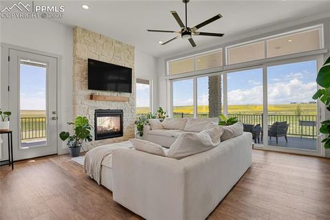 Tiny photo for 18320 Falcon Highway, Peyton, CO 80831 (MLS # 2134799)