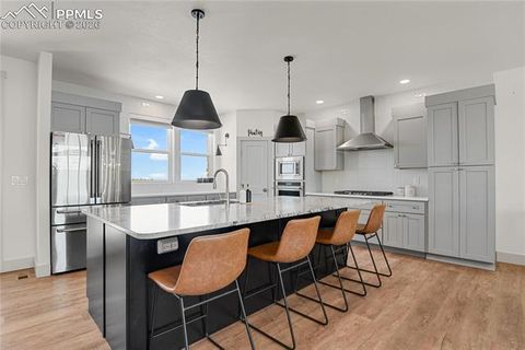 Tiny photo for 18320 Falcon Highway, Peyton, CO 80831 (MLS # 2134799)