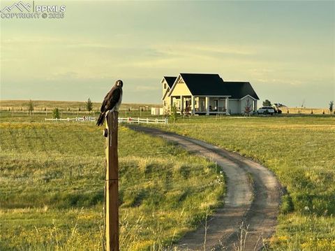 Tiny photo for 18320 Falcon Highway, Peyton, CO 80831 (MLS # 2134799)