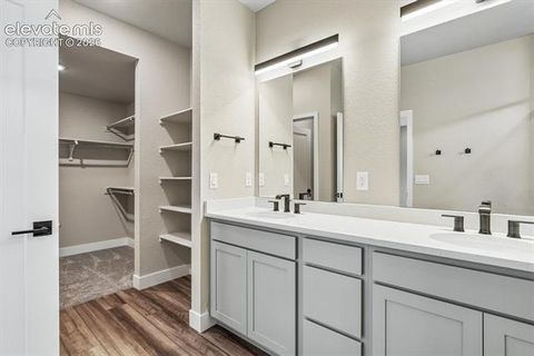 Tiny photo for 3071 Curly Grove, Colorado Springs, CO 80922 (MLS # 1696498)
