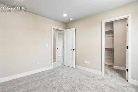 Tiny photo for 3071 Curly Grove, Colorado Springs, CO 80922 (MLS # 1696498)