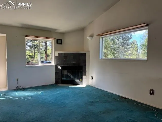 Divide, Colorado 80814, United States, 3 Bedrooms Bedrooms, ,2 BathroomsBathrooms,Residential,Active,203650