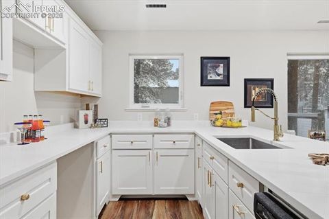 Tiny photo for 15755 Fools Gold Lane, Colorado Springs, CO 80921 (MLS # 1277824)