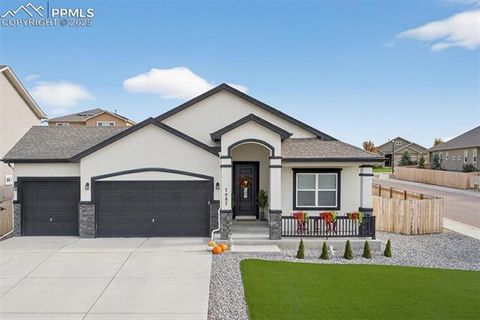 7087 Bigtooth Maple Drive Colorado Springs CO 80925