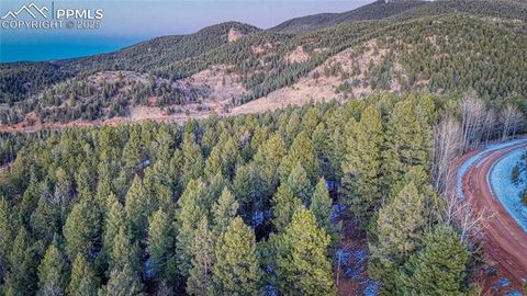Photo of 959 Calcite Drive, Divide, CO 80814 (MLS # 8275039)