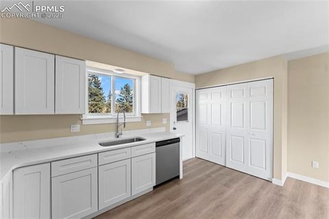 Tiny photo for 35 Illini Drive, Woodland Park, CO 80863 (MLS # 9552204)