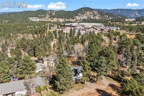 Tiny photo for 35 Illini Drive, Woodland Park, CO 80863 (MLS # 9552204)
