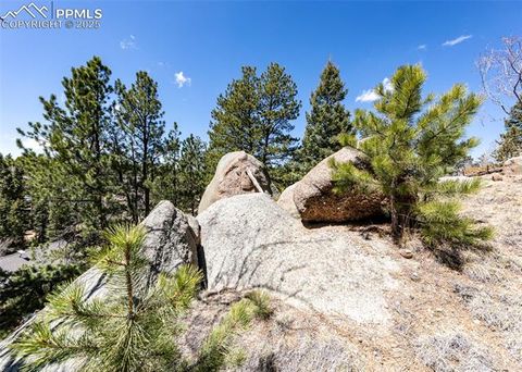 Photo of 110 La Abu Trail, Florissant, CO 80816 (MLS # 8912678) Photo of 110 La Abu Trail, Florissant, CO 80816 (MLS # 8912678)