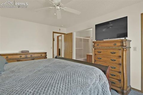 Tiny photo for 1320 Hamstead Court, Colorado Springs, CO 80907 (MLS # 9107376)
