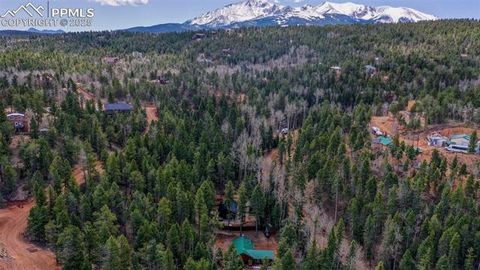 Tiny photo for 155 Squilchuk Trail, Woodland Park, CO 80863 (MLS # 2894787)