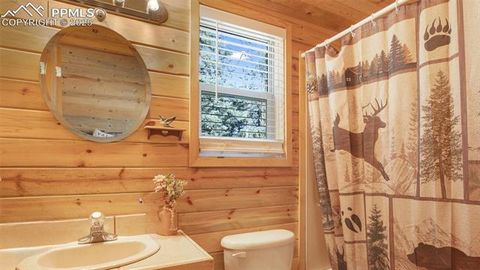 Tiny photo for 155 Squilchuk Trail, Woodland Park, CO 80863 (MLS # 2894787)