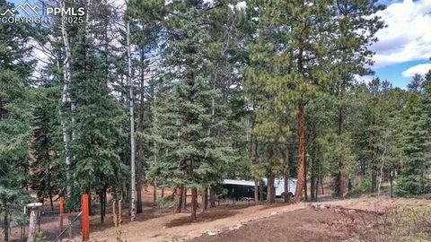 Tiny photo for 155 Squilchuk Trail, Woodland Park, CO 80863 (MLS # 2894787)